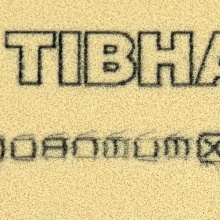挺拔Tibhar 新量子 X PRO 专业队版（红包装） 乒乓套胶
