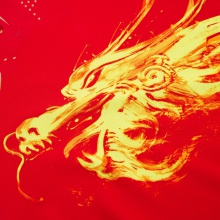李宁Lining 国服 AAYR360-1 红色版 专业女款运动短袖半袖T恤比赛服