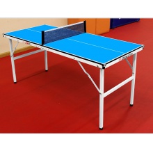 双鱼Doublefish 儿启星K1小球台 迷你儿童乒乓球桌家用可折叠式家庭便携小型室内简易乒乓球台