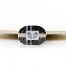 蝴蝶Butterfly 专业乒乓底板 SK CARBON（36891/23920）