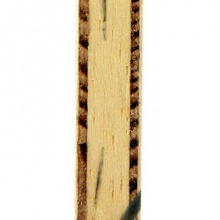 斯帝卡STIGA 北极木ARCTIC WOOD 斯蒂卡专业底板