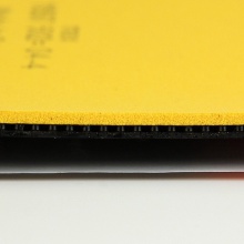 多尼克12089 COPPA X3 (SLIVER) 银装