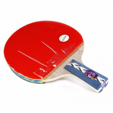 双鱼 乒乓球拍 正品 横拍直拍 5A-EC 五星 双面反胶