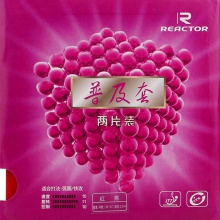 锐科特普及套（2片）经济型反胶套胶