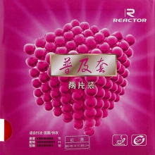 锐科特普及套（2片）经济型反胶套胶