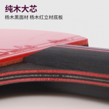 雷神Loki 麒麟4星成品拍 专业乒乓球拍单拍 体育考试初学者 学生用拍 K4