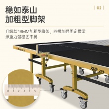 双鱼Doublefish 266 专业乒乓球桌 可折叠移动式 乒乓球台 黑色台面