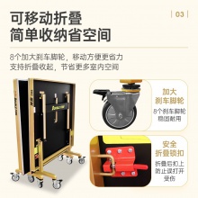 双鱼Doublefish 266 专业乒乓球桌 可折叠移动式 乒乓球台 黑色台面