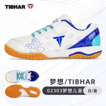 TIBHAR挺拔儿童乒乓球鞋梦想02303比赛训练乒乓球专用运动鞋男童牛筋底训练鞋 