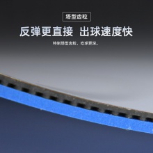 七二九729奔腾2蓝海绵省队一号专业乒乓球胶皮免灌内能高粘性正手反胶套胶