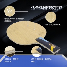 【送三星球】卓隆&郗恩庭爱豆IDOL乒乓球拍底板内置ZLC弧圈快攻型乒乓底板