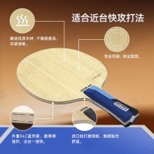 【送三星球】卓隆&郗恩庭乐章速度speed乒乓球拍底板外置ALC弧圈快攻型乒乓底板