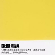 SUNFLEX阳光防弧套胶德国阳光ANTI怪兽卸力吸能海绵乒乓球胶皮防弧胶皮