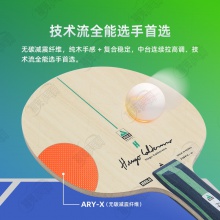 JOOLA优拉雨果同款乒乓球拍底板ARY-X尤拉弧圈快攻外置纤维乒乓底板