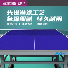 七二九729乒乓球台专业乒乓球桌AG-1pro专业国际大赛用球桌25mm【送货上楼】