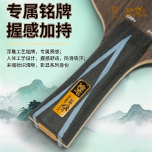 Doublefish双鱼望舒乒乓球拍底板5+2内置碳纤维阿尤斯大芯快攻弧圈型底板