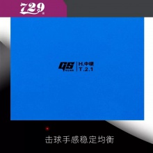 友谊729GS普及训练套乒乓球胶皮粘性初学训练用正反手乒乓套胶