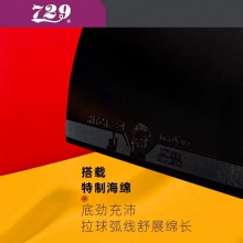 友谊729GS普及训练套乒乓球胶皮粘性初学训练用正反手乒乓套胶