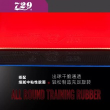 友谊729GS普及训练套乒乓球胶皮粘性初学训练用正反手乒乓套胶