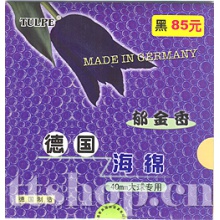 德国黑郁金香