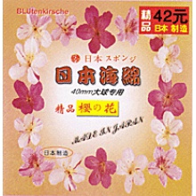 日本樱花海绵(精品)