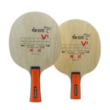 三维威武 V5