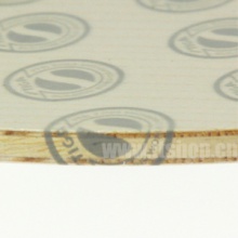 斯帝卡枫木5 MAPWOOD NCT V 斯蒂卡专业底板