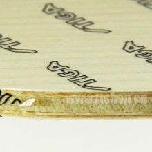 斯帝卡 MAPLEWOOD NCT VII 枫木7 斯蒂卡专业底板