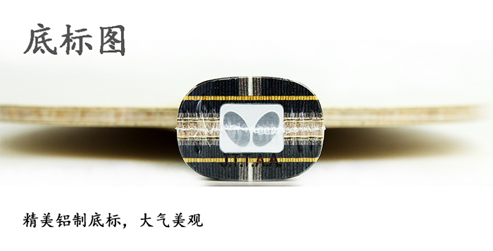 ZLC暂900-7.jpg