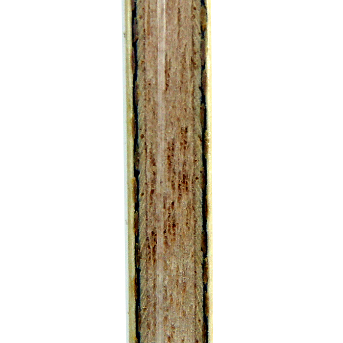 ZLC-1.jpg