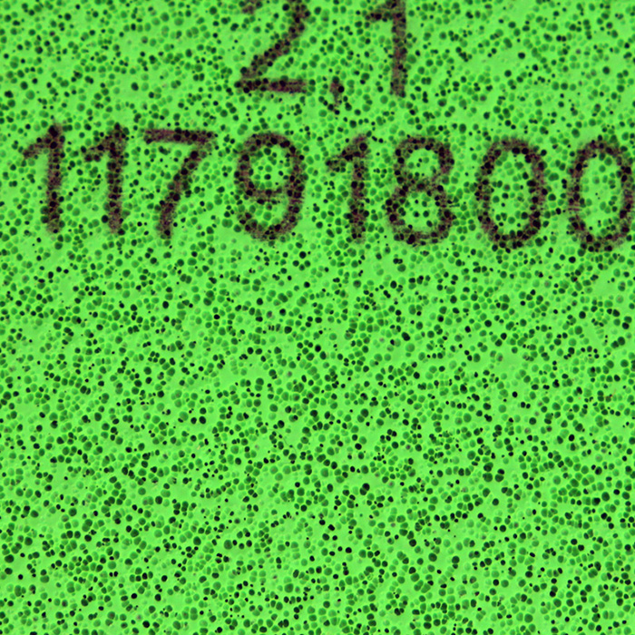 717.jpg